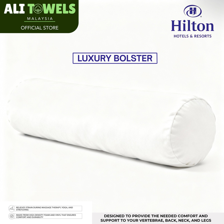 BOLSTER